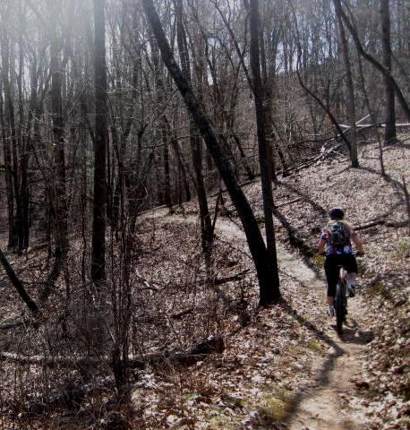 A person riding a mountain bike on a narrow trail surrounded by bare trees in a forest. The scene is illuminated by sunlight filtering through the branches. The landscape features a mix of earthy tones with fallen leaves on the ground. Brush Creek mountain bike trail.