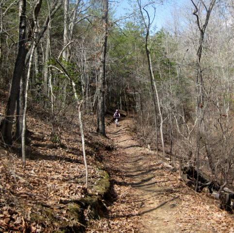 A narrow dirt trail winding through a wooded area with bare trees and scattered leaves, leading into a lush green background. In the distance, a person is walking along the trail, enjoying the natural scenery on a clear day. Brush Creek mountain bike trail.