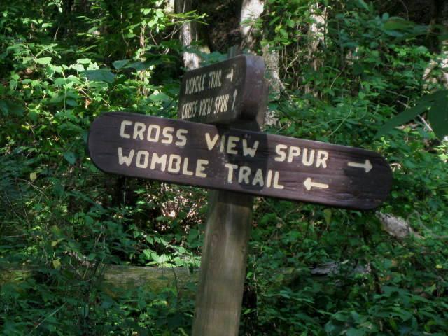 Wooden trail sign in a lush green forest, indicating directions for "Womble Trail" and "Cross View Spur." Womble mountain bike trail.