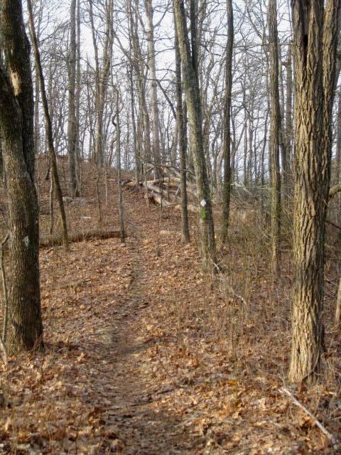 A narrow, winding trail leads through a forest of bare trees. The ground is covered in dried leaves, and a slight incline is visible ahead, where the trail curves upward toward a wooded area. Sparse greenery can be seen among the trees, creating a serene, natural atmosphere. Aska Trail System mountain bike trail.