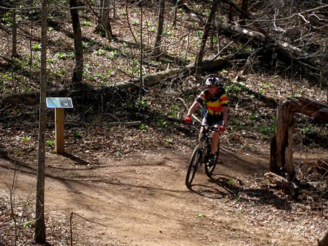 A mountain biker in a colorful jersey rides along a dirt path in a wooded area. In the background, a trail sign is visible, and the ground is scattered with fallen leaves and small plants. Sunlight filters through the trees, creating a serene outdoor atmosphere. Jack Rabbit Trails mountain bike trail.