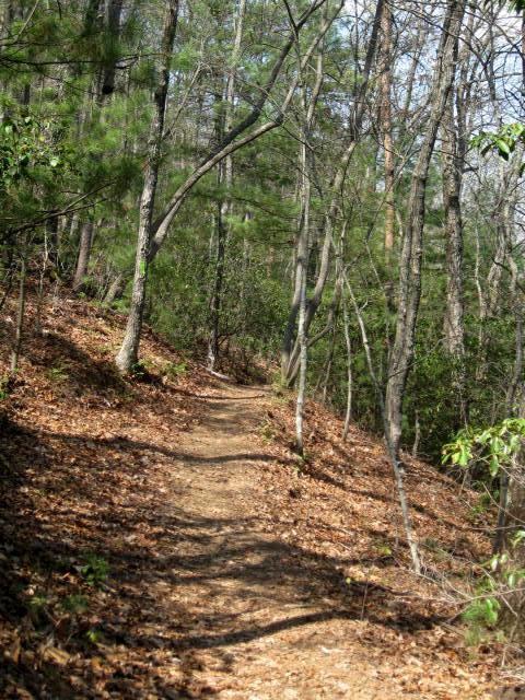 A winding dirt path through a forest, surrounded by trees with sparse foliage and scattered leaves on the ground, capturing the serene atmosphere of a nature trail. Aska Trail System mountain bike trail.