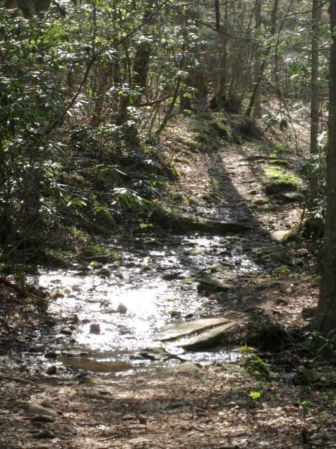 A serene forest scene featuring a narrow, winding path alongside a gently flowing stream. Sunlight filters through the trees, creating dappled patterns on the ground, while the water sparkles in the light. Lush greenery surrounds the path, adding to the peaceful atmosphere of the natural setting. Aska Trail System mountain bike trail.