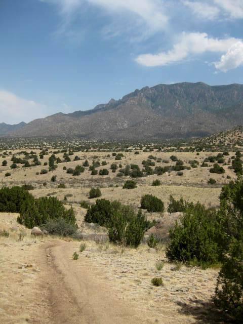 A panoramic view of a dry, rugged landscape featuring a dirt path winding through sparse vegetation, with low shrubs scattered across the grassy foreground. In the background, a range of mountains rises against a partly cloudy sky. Sandia Mountains Foothill Trail mountain bike trail.