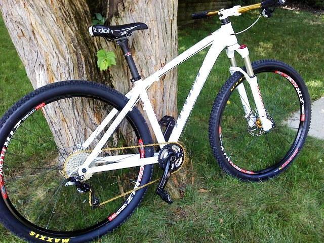 Niner EMD 9: A white mountain bike with gold accents, featuring thick black tires with red lettering, stands next to a tree in a grassy area. The bike has a smooth frame, a comfortable seat, and a gear mechanism visible on the side.