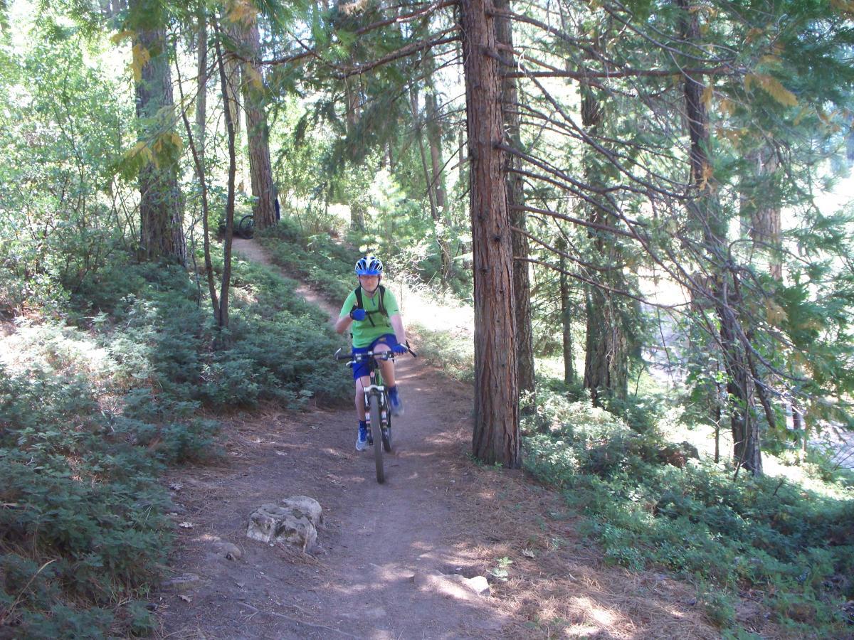 A young person riding a mountain bike on a dirt trail through a wooded area, surrounded by tall trees and lush greenery. The cyclist is wearing a helmet and a bright green shirt, with a backpack and blue shorts. Sly Park mountain bike trail.
