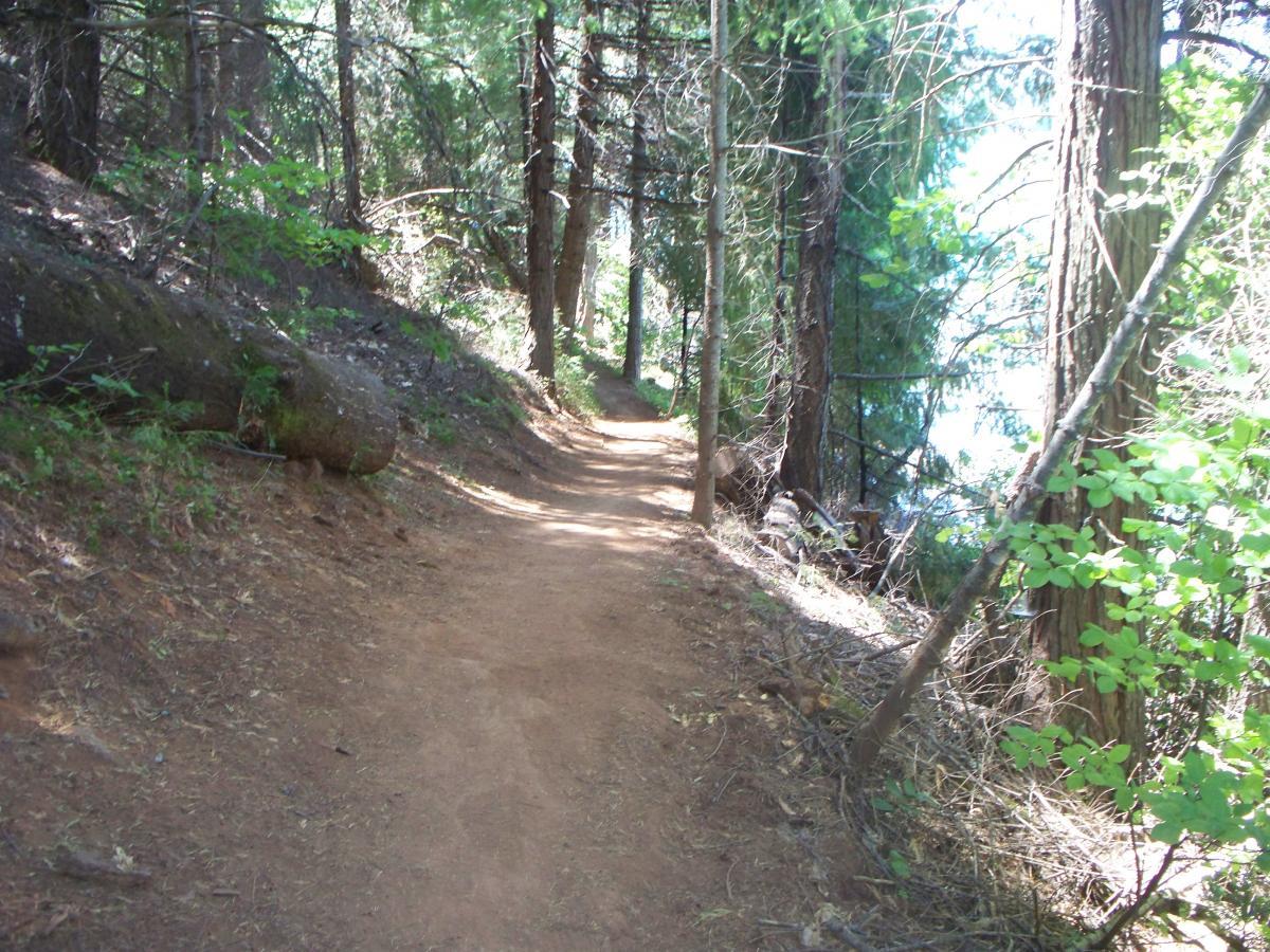 A dirt path winding through a dense forest, flanked by tall trees and green foliage, with a glimpse of water visible in the background. The scene captures a peaceful, natural environment ideal for hiking or walking. Sly Park mountain bike trail.