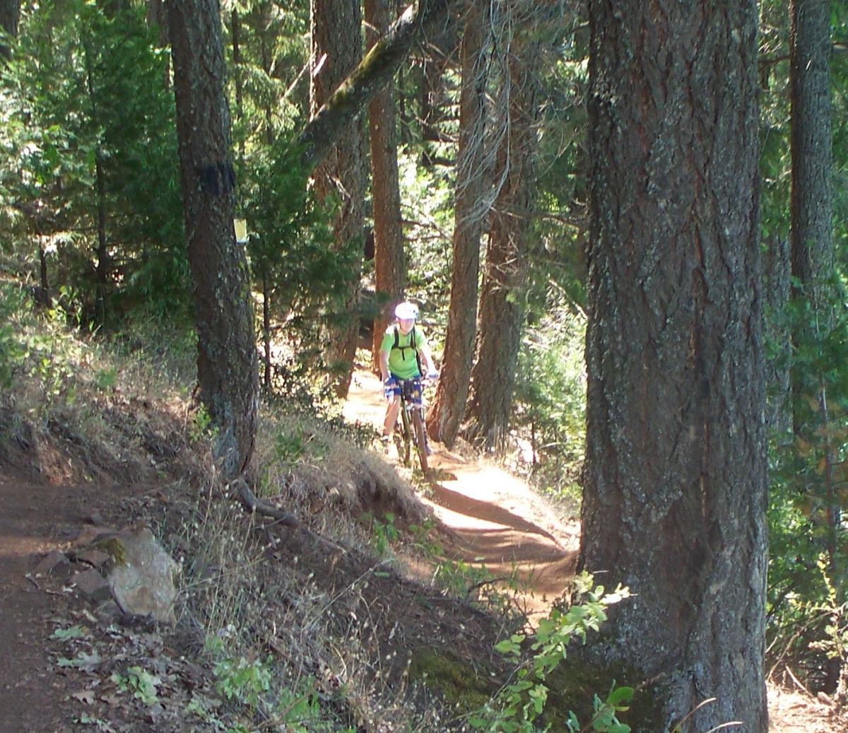 A person riding a mountain bike along a winding dirt trail surrounded by tall trees and lush greenery. The cyclist is wearing a helmet and a bright green shirt, navigating through a forested area on a sunny day. Sly Park mountain bike trail.