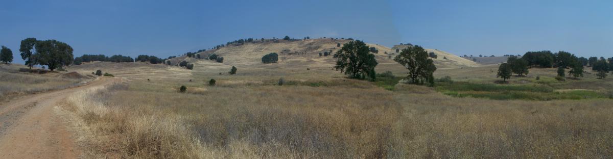 A panoramic view of a sunlit landscape featuring rolling hills, sparse vegetation, and scattered trees. A dirt path winds through the foreground, leading to the hilly terrain in the background under a clear blue sky. The grass appears dry and golden, typical of a warm climate. Up Down Trail mountain bike trail.