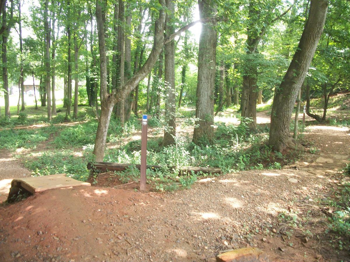 A lush, green forest pathway with tall trees and sun filtering through the foliage. The path is marked with a post on the right side, and there are natural features like a small dirt mound and logs on the ground, inviting exploration. Gateway Mountain Bike Park mountain bike trail.