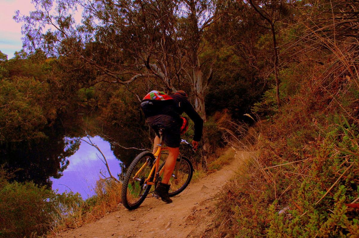 A mountain biker navigating a narrow dirt trail alongside a calm body of water, surrounded by lush greenery and trees. The bike features thick tires suitable for rugged terrain, and the rider is leaning forward, focused on the trail ahead. Yarra Trails mountain bike trail.