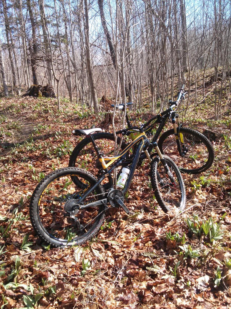 Specialized Stumpjumper FSR Elite: Two mountain bikes rest on a forest floor covered in autumn leaves, surrounded by bare trees and small green plants. The scene is illuminated by bright sunlight, indicating a clear day.