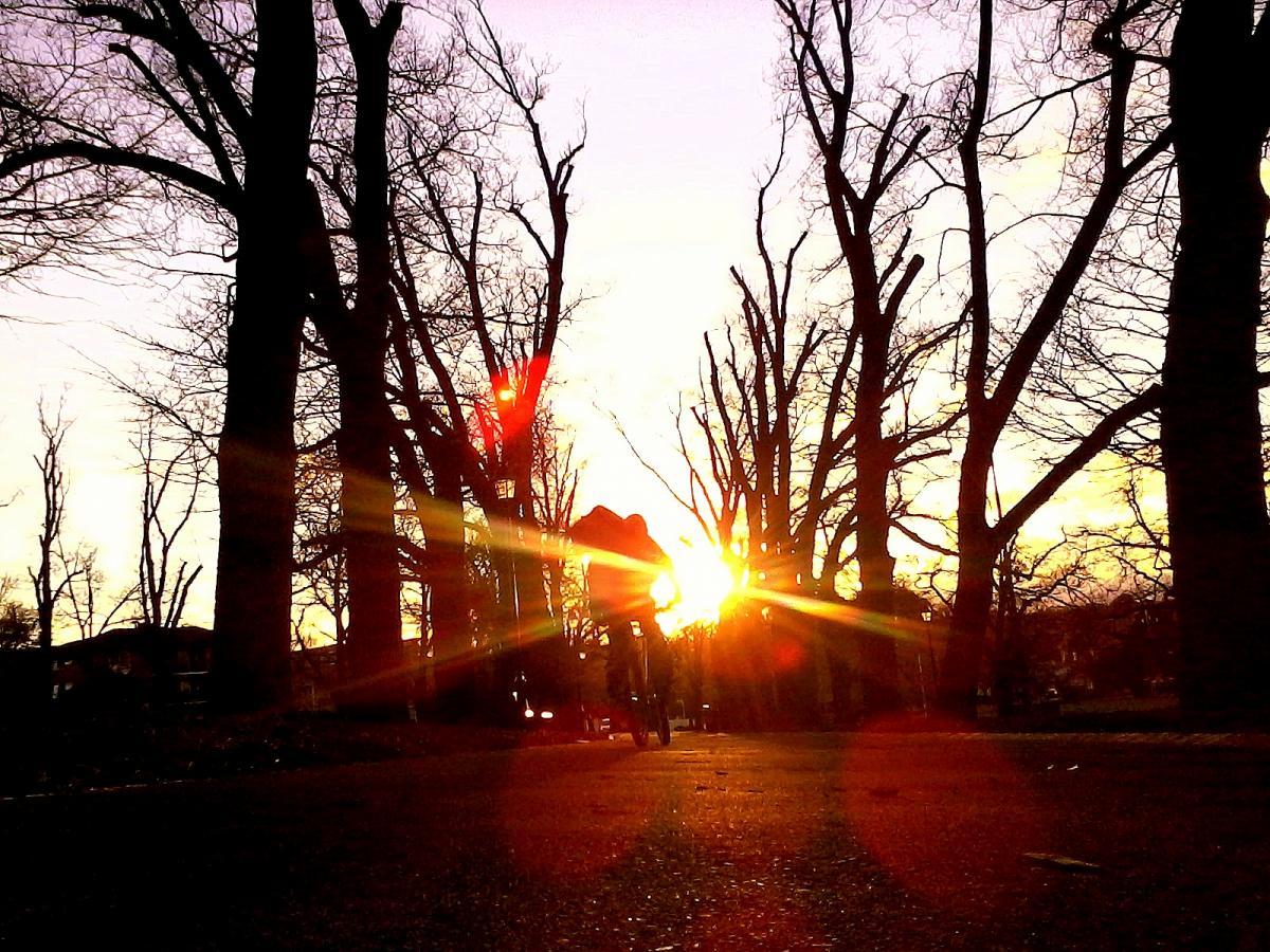 A silhouette of a person riding a bicycle along a tree-lined path during sunset, with sunlight creating flares and illuminating the scene. The trees are bare, suggesting it is late autumn or winter, and the sky displays soft hues of orange and purple. Yarra Trails mountain bike trail.