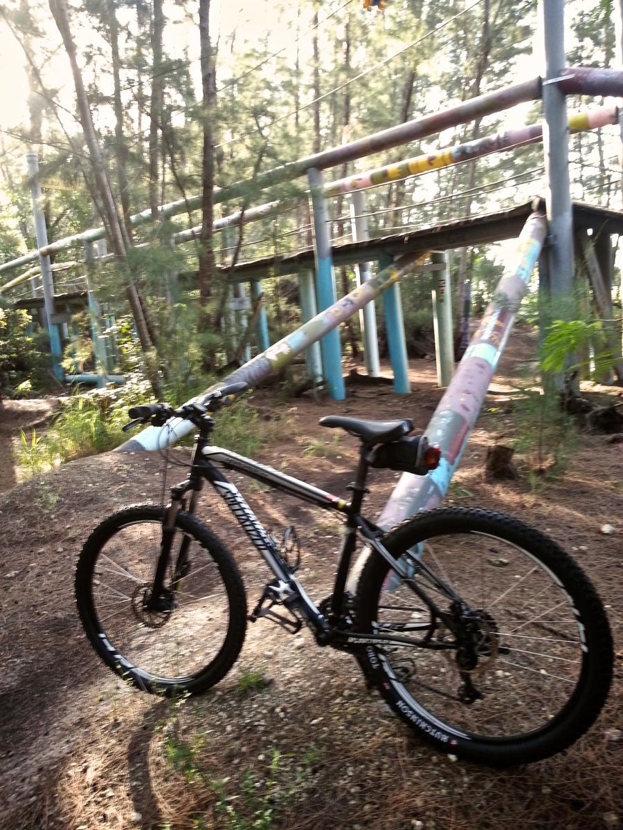 A black mountain bike is leaning against a colorful, partially elevated structure in a wooded area. The background features tall trees and dappled sunlight filtering through the foliage, creating a serene outdoor scene. Amelia Earhart Park mountain bike trail.