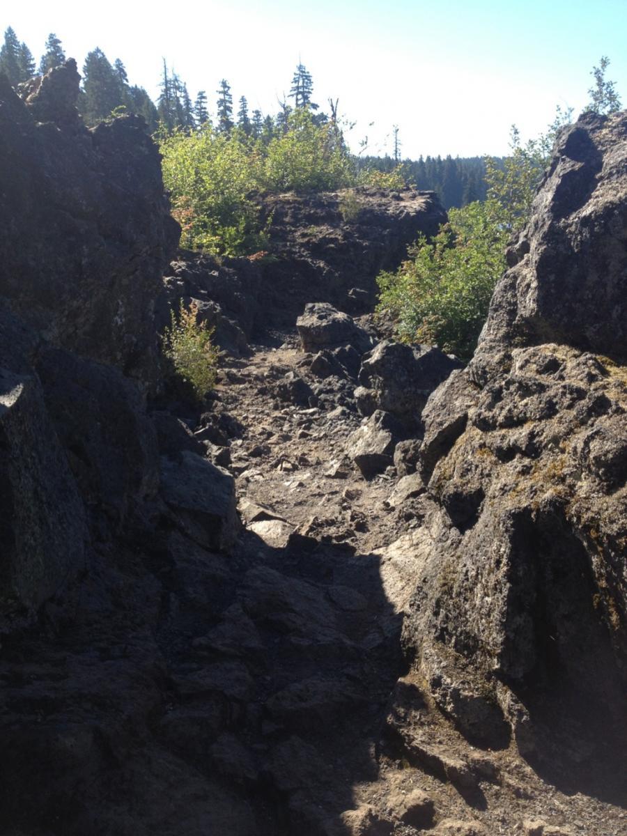 A rocky trail winding through rugged terrain, flanked by jagged rocks and small shrubs, under a clear blue sky. Pine trees are visible in the background, indicating a natural outdoor setting. Mckenzie River Trail mountain bike trail.