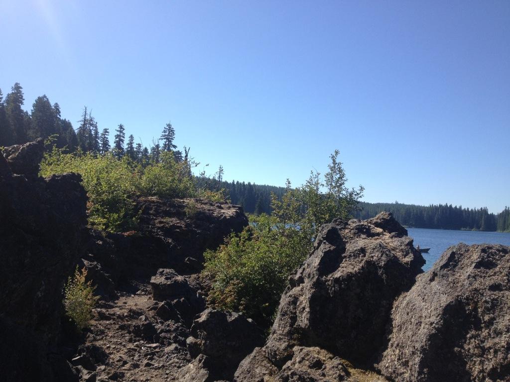 Rocky shoreline with lush greenery, overlooking a calm lake surrounded by tall trees under a clear blue sky. Mckenzie River Trail mountain bike trail.