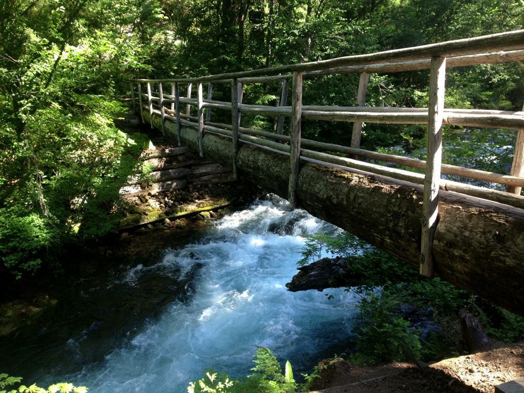 A wooden bridge crossing over a rushing stream, surrounded by lush green foliage and trees. The clear blue water flows rapidly beneath the bridge, reflecting sunlight. Mckenzie River Trail mountain bike trail.