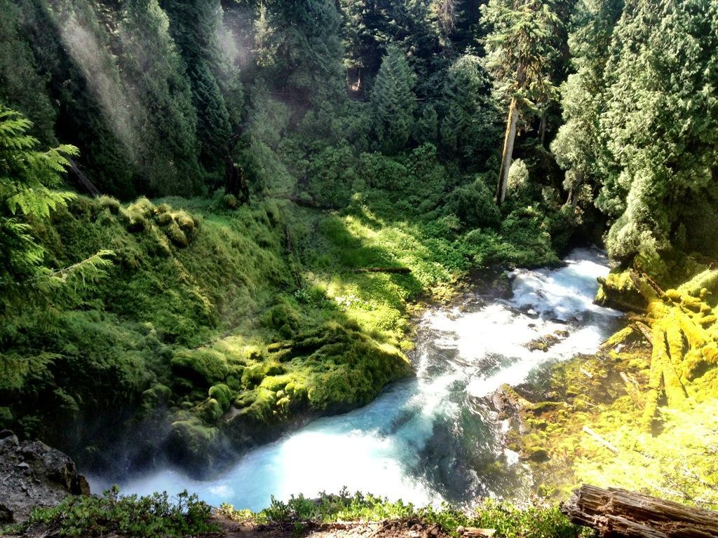 A serene landscape depicting a vibrant, lush green forest with a flowing river. Sunlight filters through the trees, illuminating the moss-covered rocks and surrounding foliage. The river features clear, blue water, cascading over stones, and creating a peaceful atmosphere in this natural setting. Mckenzie River Trail mountain bike trail.