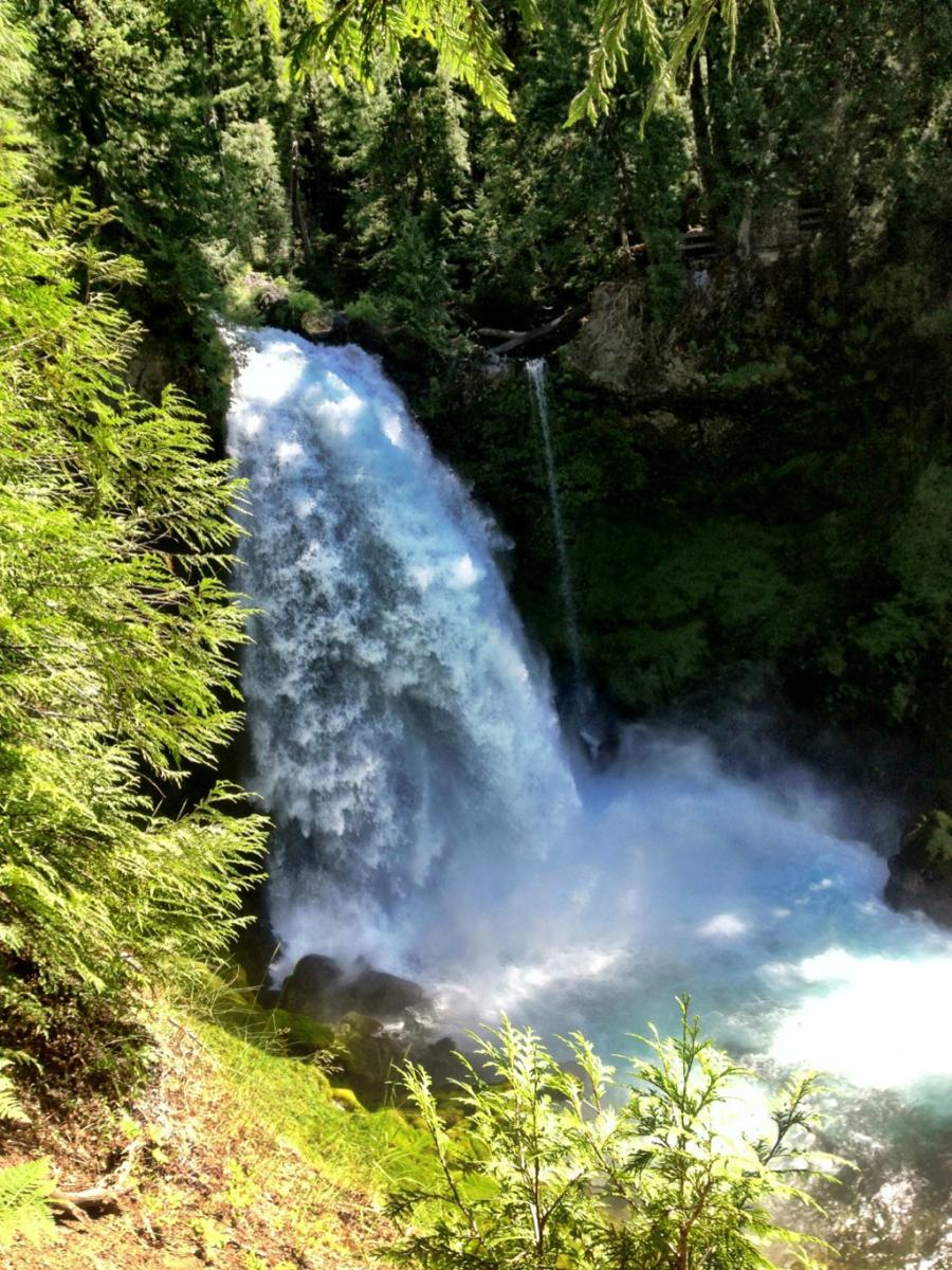 A lush green landscape featuring a cascading waterfall surrounded by dense trees, with sunlight reflecting off the water and creating mist at the base of the falls. Mckenzie River Trail mountain bike trail.