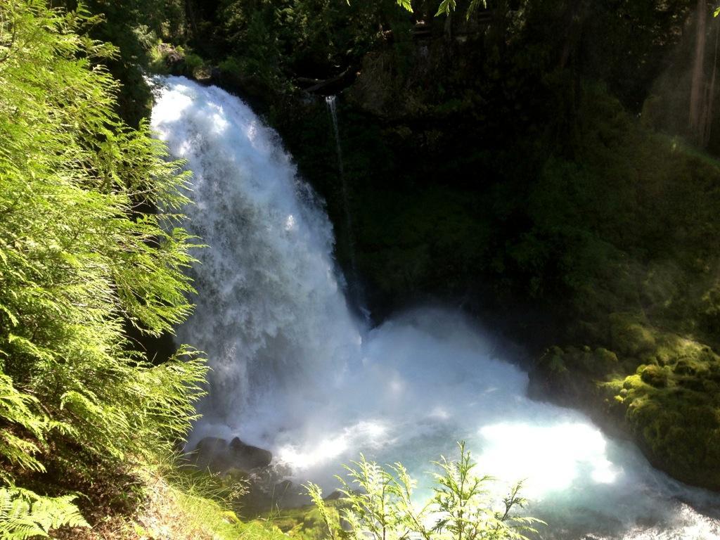 A picturesque waterfall cascading down into a rocky pool, surrounded by lush green foliage and moss-covered stones. The sunlight filters through the trees, illuminating the water and creating a serene natural scene. Mckenzie River Trail mountain bike trail.