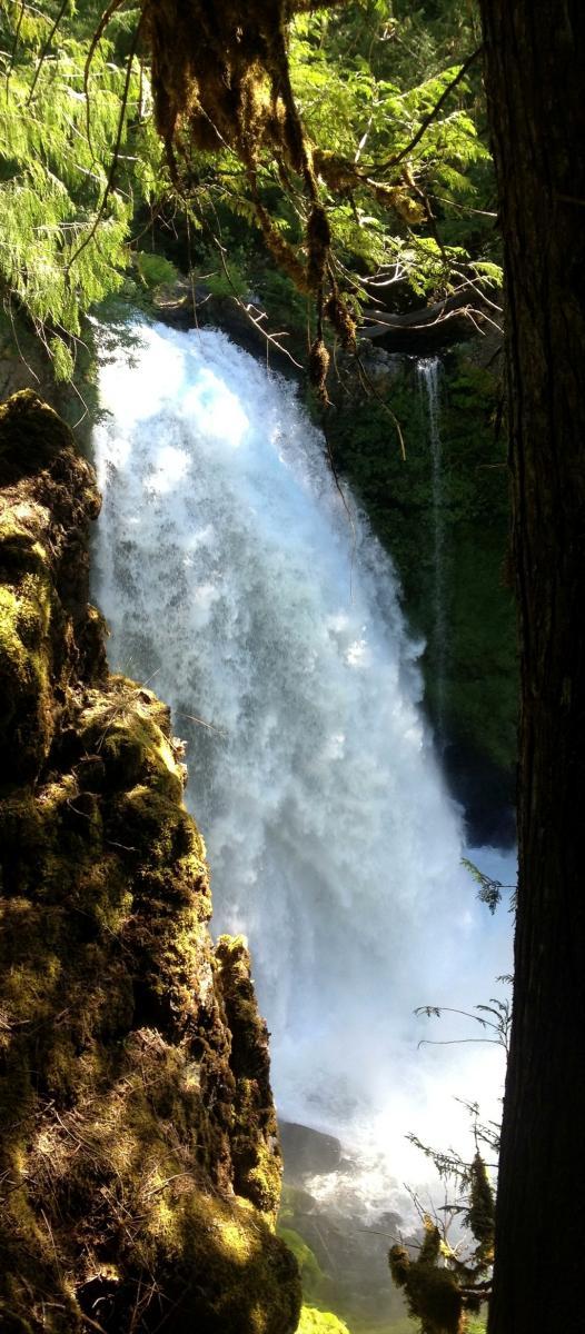 A cascading waterfall surrounded by lush greenery and moss-covered rocks, with sunlight filtering through the trees. The water tumbles down dramatically, creating mist at the base. Mckenzie River Trail mountain bike trail.