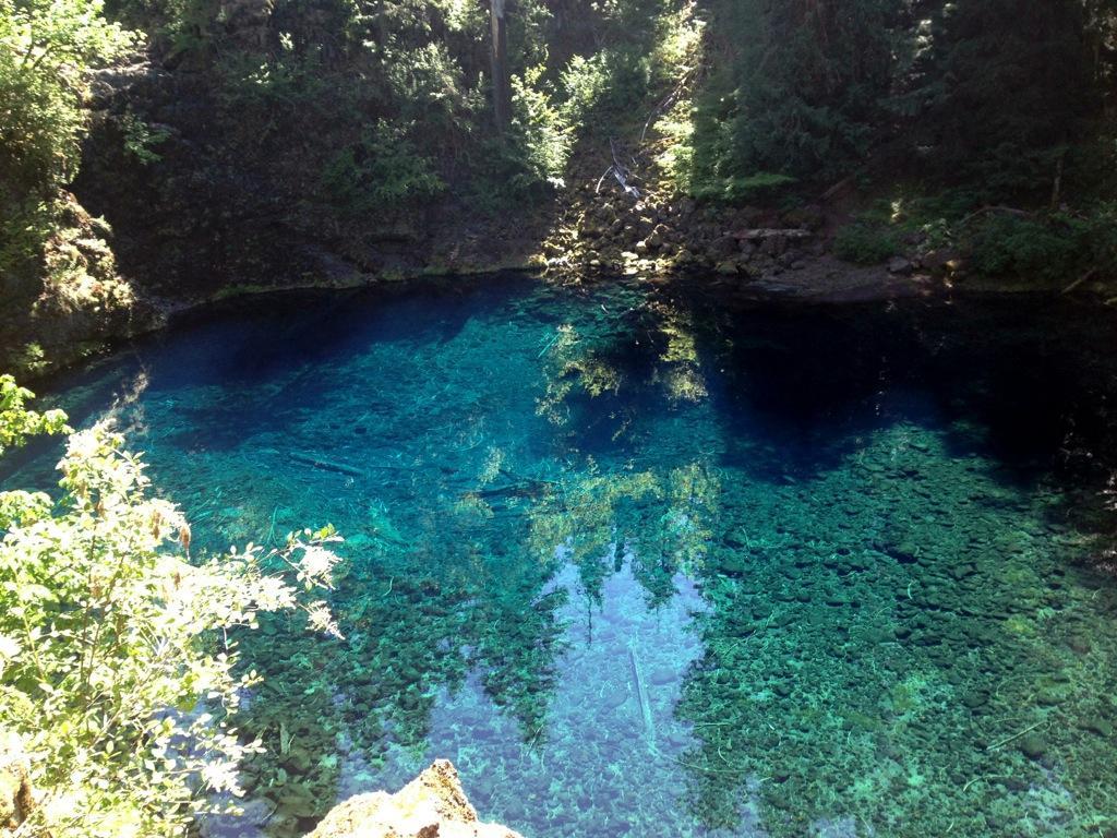 A serene natural pool surrounded by lush greenery, featuring clear blue water that reflects the surrounding trees and rocks. The pool appears deep and is partially covered with aquatic plants, creating a tranquil scene in a forested area. Mckenzie River Trail mountain bike trail.