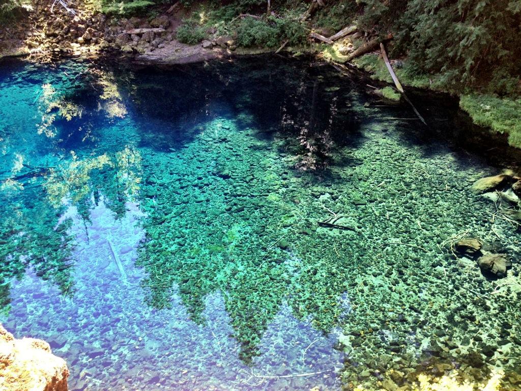 A crystal-clear natural spring with vibrant turquoise water, surrounded by lush greenery and trees reflecting on the surface. The bottom is visible, showing rocks and underwater vegetation, creating a tranquil and serene atmosphere. Mckenzie River Trail mountain bike trail.