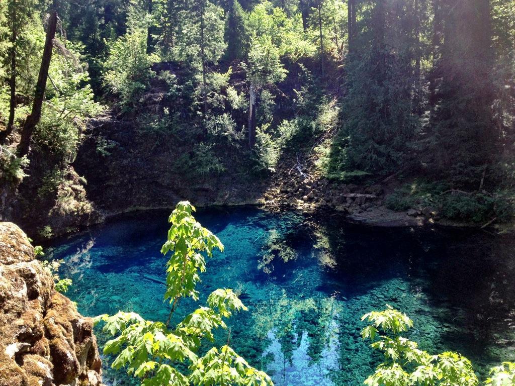 A serene, crystal-clear pool surrounded by lush greenery and towering trees, reflecting dappled sunlight in a tranquil forest setting. Mckenzie River Trail mountain bike trail.