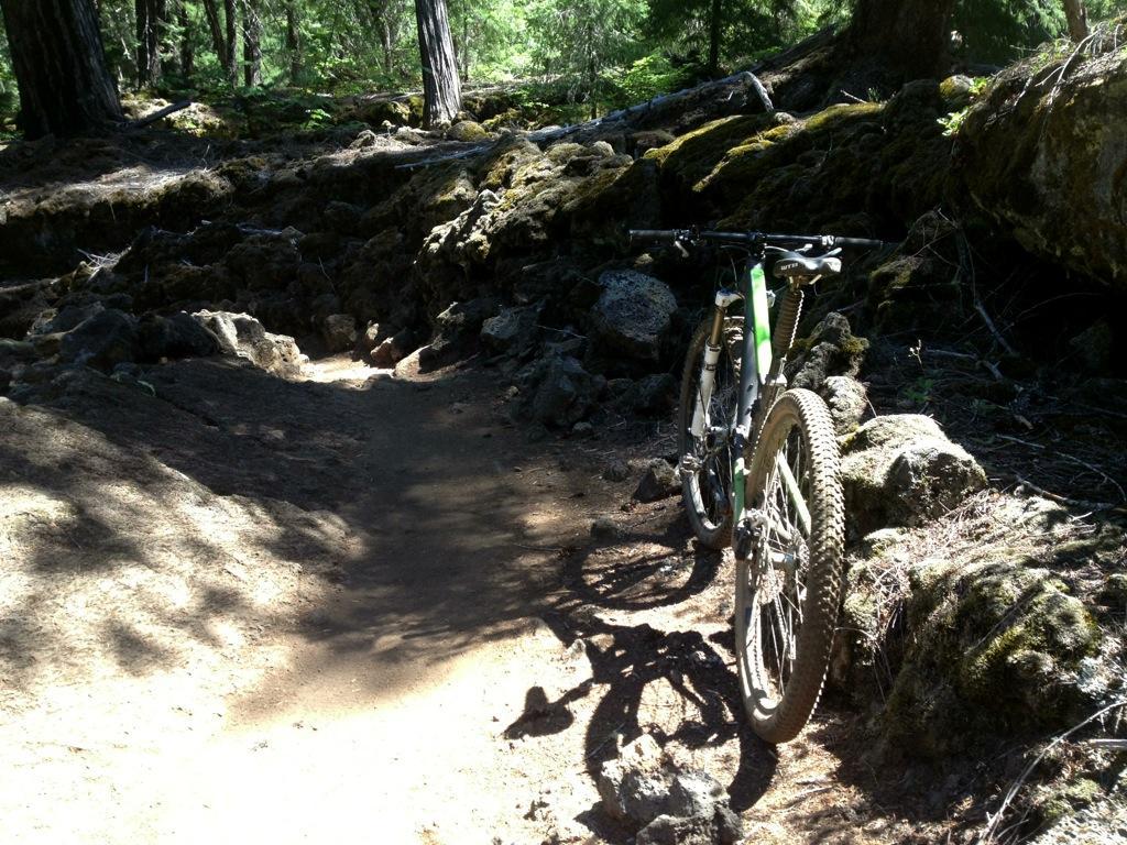 A mountain bike leaning against a rocky path in a forested area, with dappled sunlight filtering through the trees and moss covering the ground. Mckenzie River Trail mountain bike trail.
