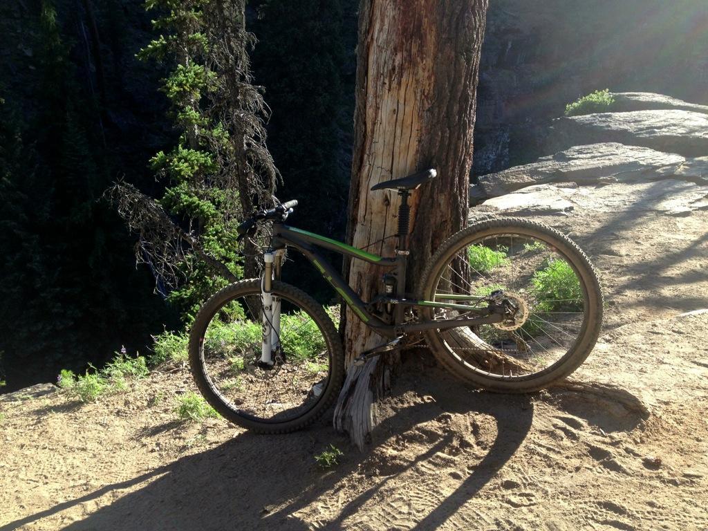 A mountain bike leaning against a tree on a dirt trail, surrounded by greenery and sunlight. The background features a cliff and dense forest. North Fork mountain bike trail.