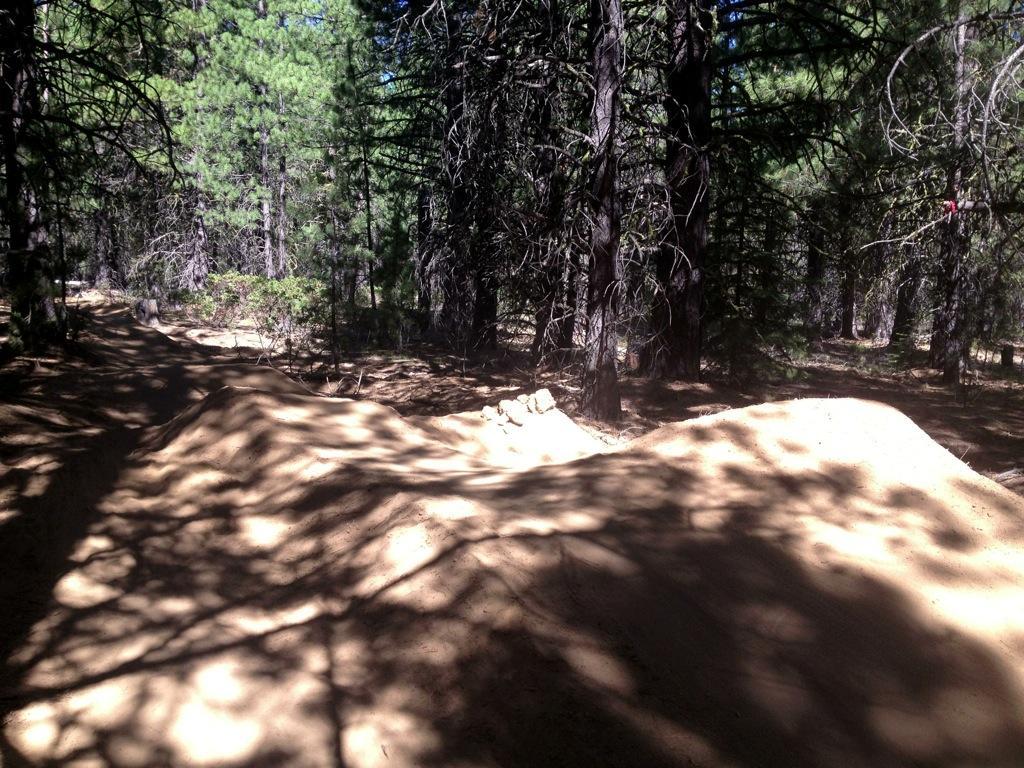 A dirt trail winding through a forested area with tall pine trees, featuring two small dirt jumps or mounds in the foreground. Sunlight filters through the trees, creating shadows on the ground. Ben's Upper mountain bike trail.