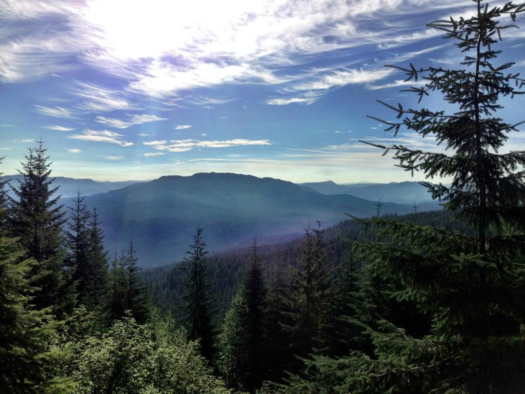 A scenic view of a mountainous landscape with layered hills in the background. The foreground features tall evergreen trees, while the sky is partly cloudy with bright sunlight streaming down, creating a serene atmosphere. Alpine Trail mountain bike trail.