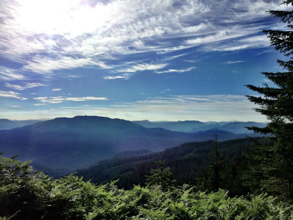 A panoramic view of rolling mountains under a blue sky with wispy clouds, framed by lush green foliage in the foreground. Alpine Trail mountain bike trail.