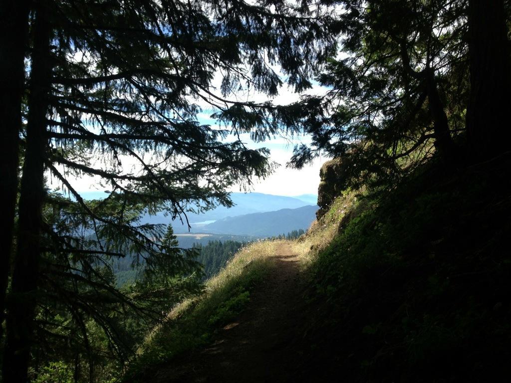 A scenic view from a forested trail, framed by evergreen trees, showing a mountain landscape in the background with clear skies and distant hills. Alpine Trail mountain bike trail.