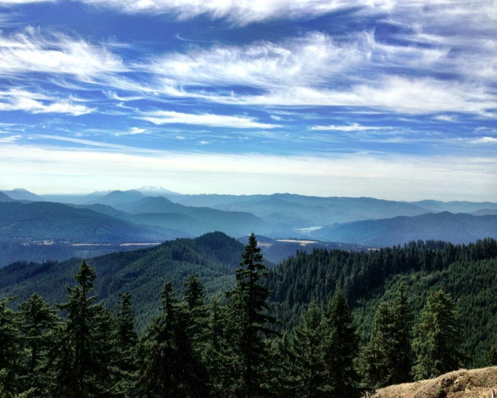 A panoramic view of rolling green mountains under a partly cloudy blue sky, with layered mountain ranges fading into the distance. Pine trees are visible in the foreground, adding depth to the serene landscape. Alpine Trail mountain bike trail.