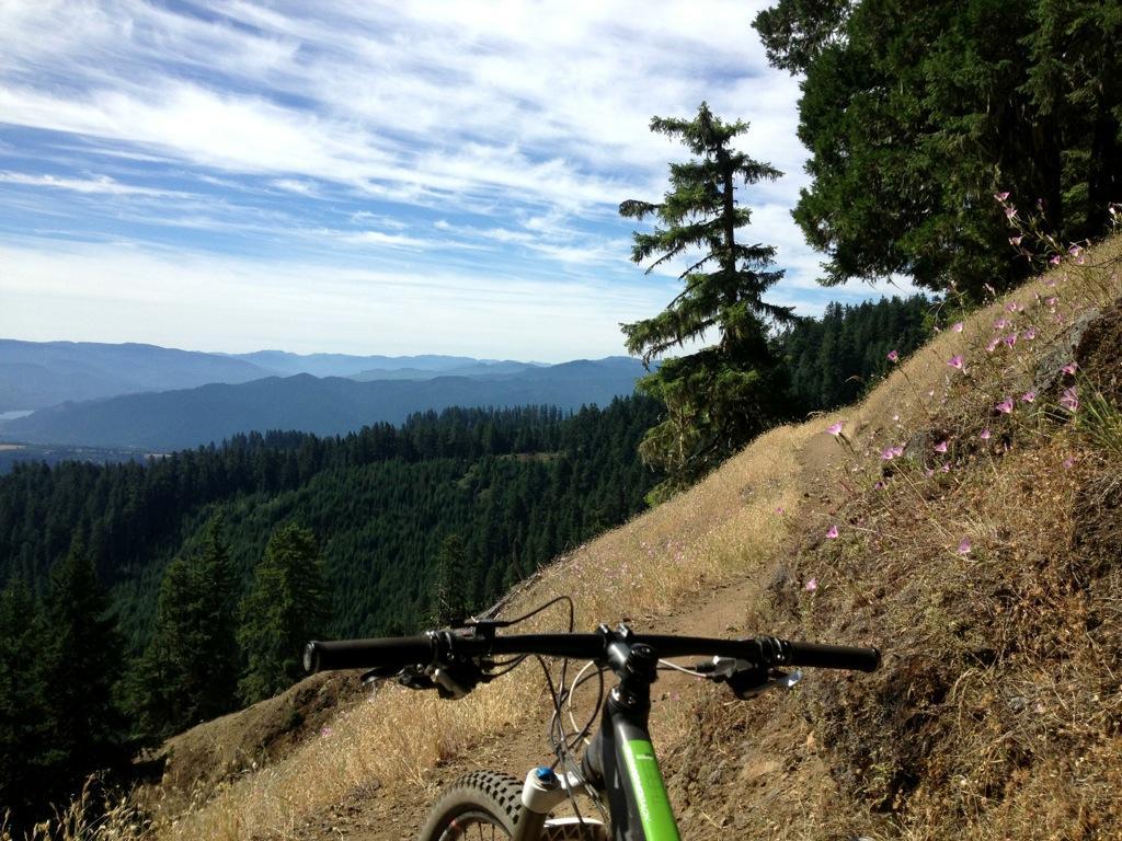 A view from a mountain biking trail, featuring a handlebars perspective overlooking a scenic landscape of rolling hills and valleys, with lush green trees in the foreground and distant mountains under a partly cloudy sky. Wildflowers bloom along the trail, adding a touch of color to the natural scenery. Alpine Trail mountain bike trail.