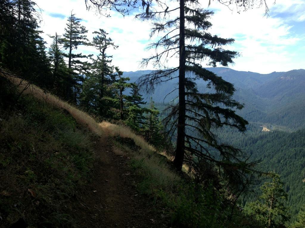 A winding dirt trail surrounded by lush greenery and tall pine trees, leading along a hillside with a scenic view of a valley and mountains in the background under a partly cloudy sky. Alpine Trail mountain bike trail.
