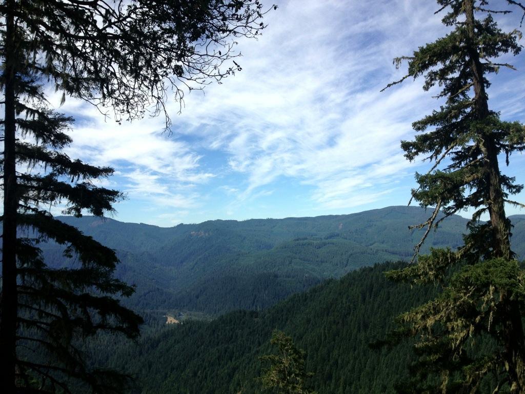A panoramic view of lush green mountains under a bright blue sky filled with wispy clouds, framed by tall evergreens on either side. Alpine Trail mountain bike trail.