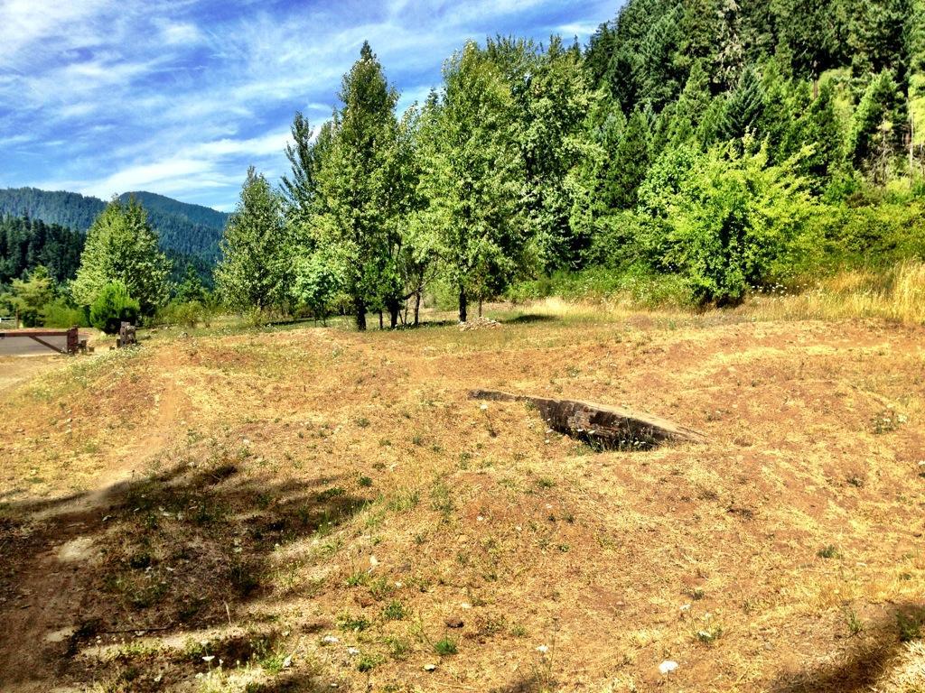 A dry, uneven landscape featuring sparse grass and a small depression in the ground, surrounded by green trees and mountains in the background under a blue sky with clouds. Alpine Trail mountain bike trail.