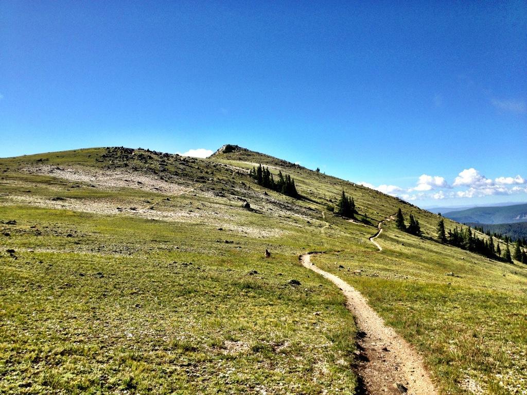 A scenic landscape featuring a winding dirt path leading up a grassy hill, surrounded by rocky terrain and sparse trees. The sky is clear and blue, adding to the tranquil outdoor atmosphere. Monarch Crest Trail mountain bike trail.
