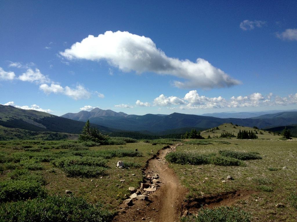 A winding dirt trail leads through a lush green landscape, bordered by low shrubbery. In the background, rolling mountains are visible under a clear blue sky with scattered white clouds. The scene captures the beauty of a mountainous region during daylight. Monarch Crest Trail mountain bike trail.