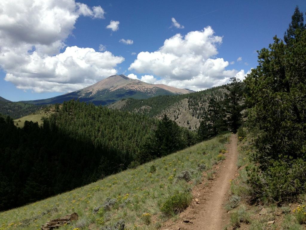 A scenic mountain landscape featuring a winding dirt trail amidst lush green hills. In the background, a prominent mountain peak is visible under a blue sky adorned with fluffy white clouds. The foreground includes patches of grass and scattered wildflowers, surrounded by a dense stand of evergreen trees. Rainbow Trail: Silver Creek to Hwy 285 mountain bike trail.