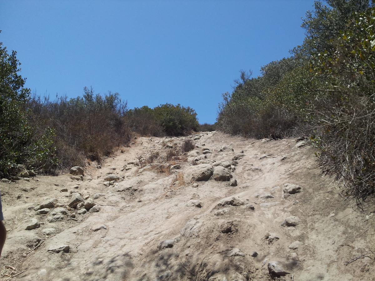 A steep, rocky hiking trail ascending through dry vegetation under a clear blue sky. The path is composed of loose stones and dirt, surrounded by shrubs and low bushes on either side. Car Wreck mountain bike trail.