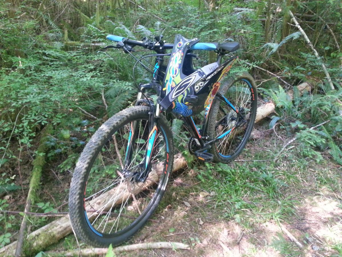 Specialized Hardrock Sport Disc 29er: A mountain bike parked on a forest trail, surrounded by lush green vegetation, ferns, and fallen logs. The bike features colorful graphics and is partially obscured by foliage, suggesting a remote outdoor setting.
