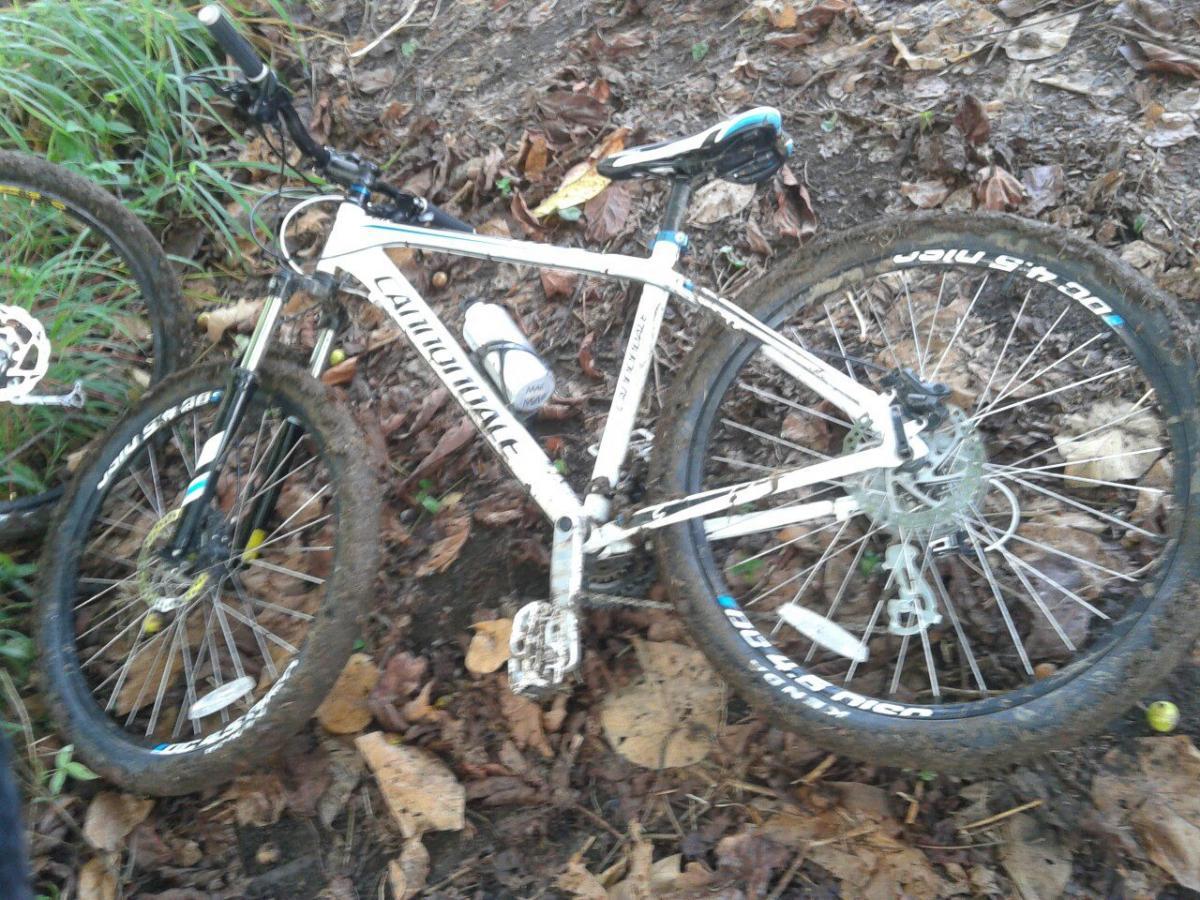 Cannondale Trail 6: A white mountain bike partially covered in mud, resting on a bed of fallen leaves and grass. The bike's wheels and frame are dirty, indicating it has been used on a rugged trail. A water bottle is attached to the frame.