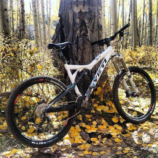 Yeti 575: A mountain bike with a white and blue frame is leaning against a tree trunk, surrounded by an autumn landscape featuring a carpet of yellow leaves and tall aspen trees in the background.