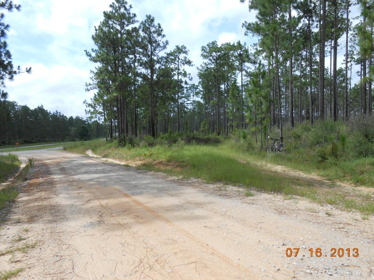A sandy dirt road branching off towards a dense pine forest, with green grass and shrubs lining the sides. A bicycle is parked on the right side of the path, and a paved road is visible in the background under a partly cloudy sky. The image conveys a peaceful outdoor setting suitable for biking or hiking. Bethel Bike Trails mountain bike trail.