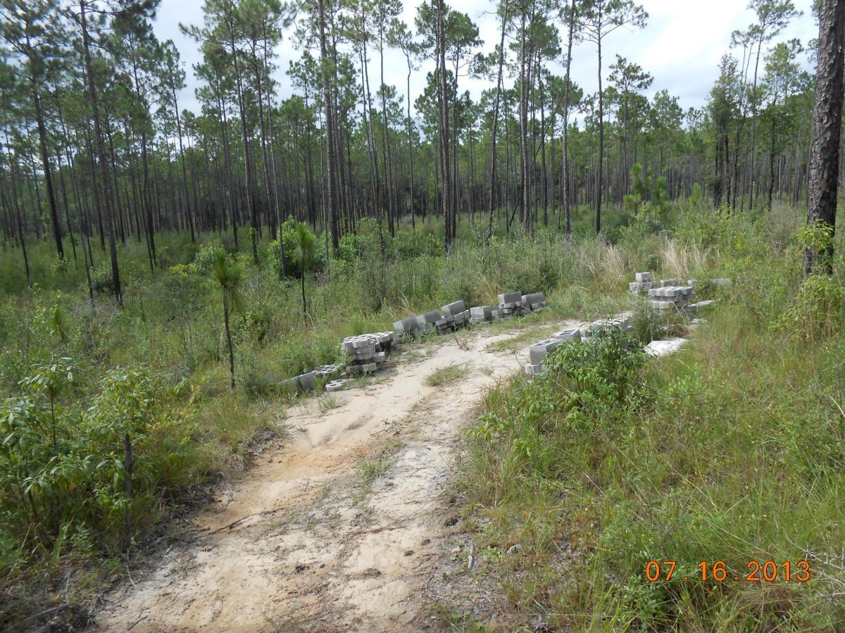 A dirt path winding through a dense forest of tall pine trees, with patches of grass and shrubs on either side. A pile of gray concrete blocks is visible along the edge of the path. The scene is bright and shows a clear sky in the background, suggesting a warm day. The date in the lower right corner reads July 16, 2013. Bethel Bike Trails mountain bike trail.