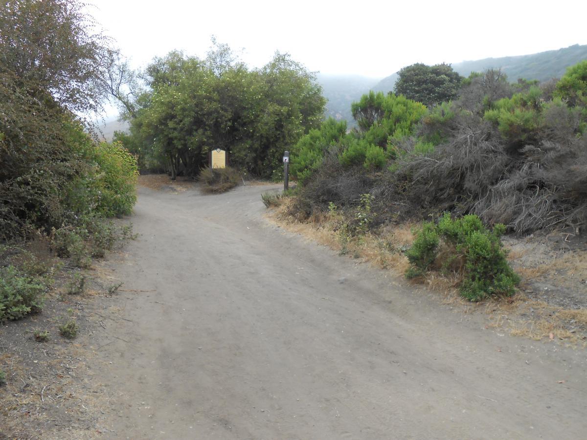 A dirt path winding through a natural landscape, flanked by bushes and trees. In the distance, a wooden sign can be seen on the left side of the path, indicating direction or information about the area. The scene is shrouded in a light fog, creating a peaceful and serene atmosphere. B.F.I. mountain bike trail.