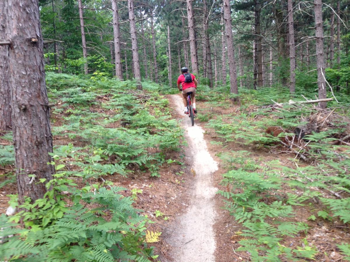 A person riding a mountain bike on a narrow dirt trail through a lush forest, surrounded by tall pine trees and green ferns. The scene captures a sense of adventure and outdoor activity in a natural setting. Glacial Hills mountain bike trail.